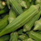 pile-of-fresh-picked-okra